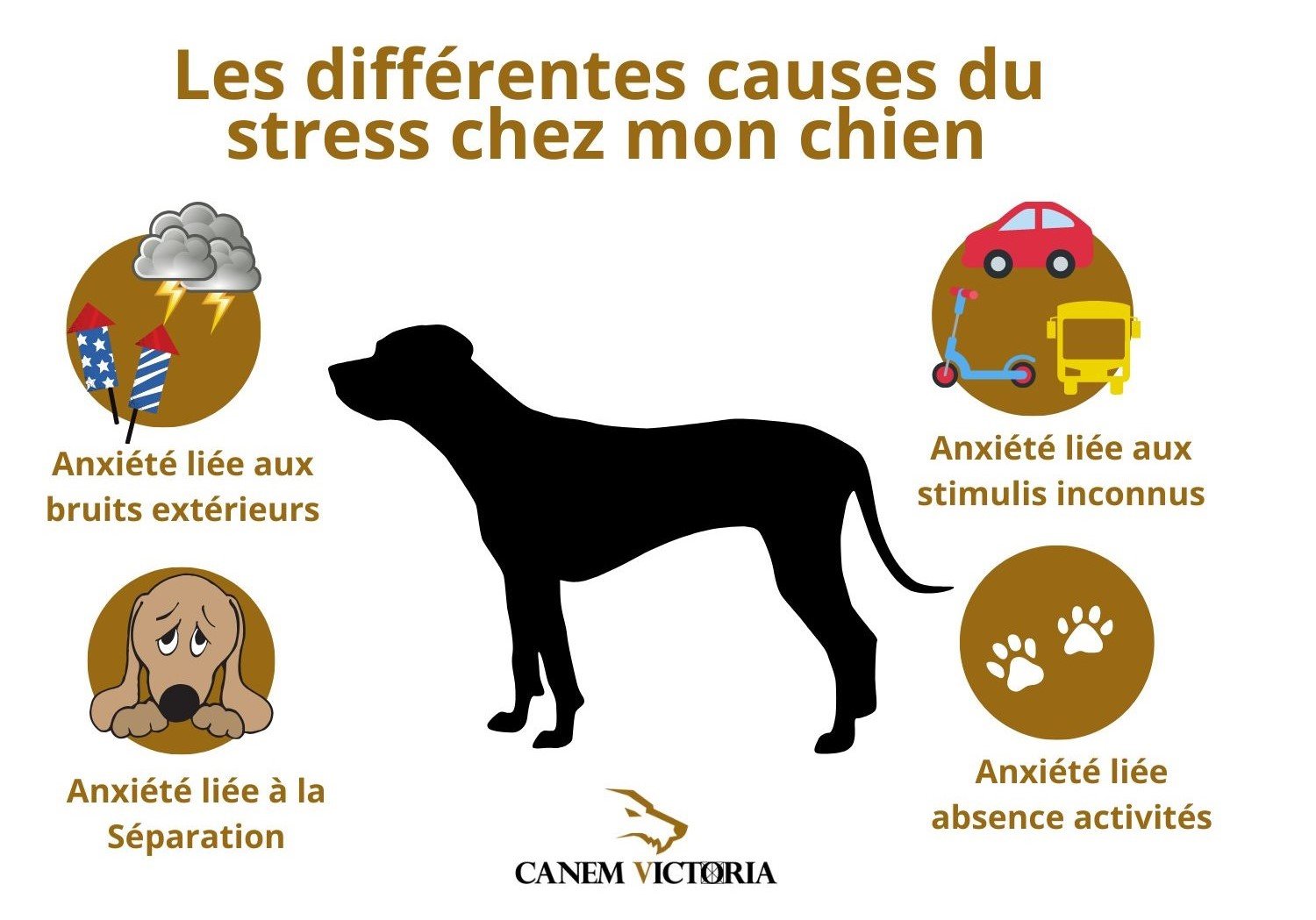 découvrez les effets de la mutation hyperactive sur nos compagnons à quatre pattes et comment cela peut les affecter.