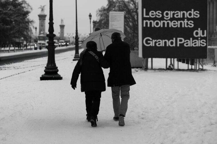Aperçu des Bandes Dessinées 2025 – Les Grandes Intrigues et Nouvelles Séries à Ne Pas Manquer