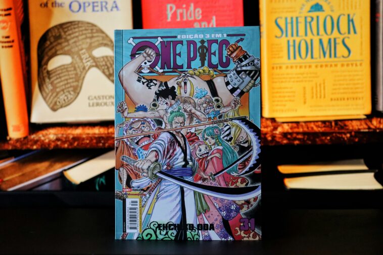Les héroïnes de One Piece auront bientôt leur propre anime !